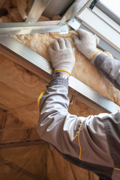 Best Local Insulation Services  in Jenkins, KY