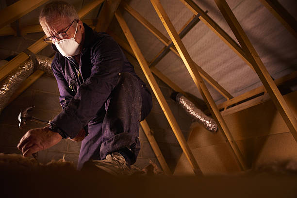 Best Cellulose Insulation  in Jenkins, KY