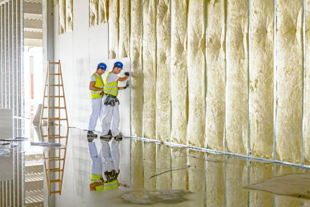 Best Cellulose Insulation  in Jenkins, KY